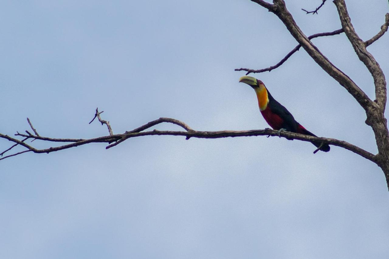 Villa Bem Querer - Camomila Mairipora Luaran gambar